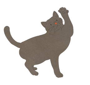 Cat 1