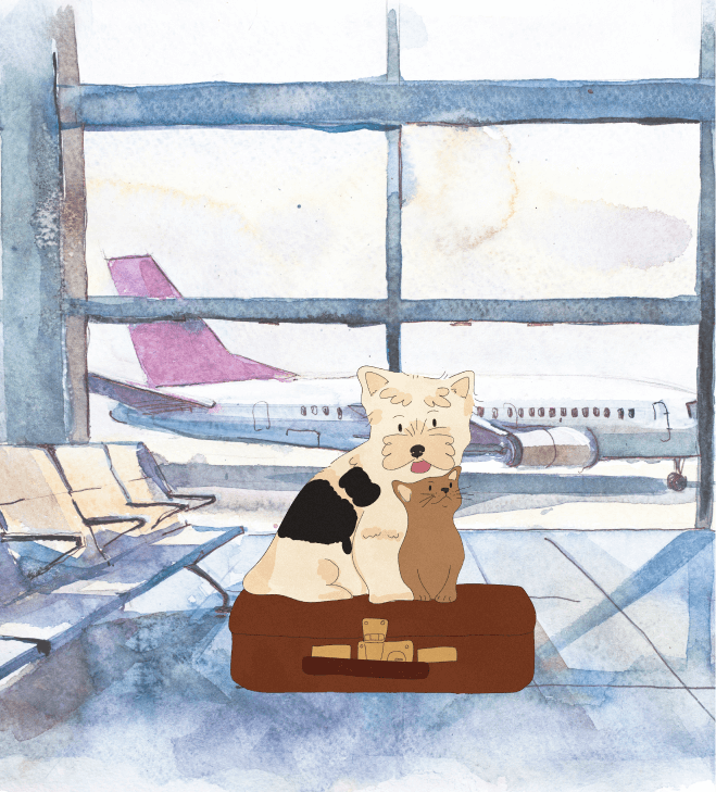 Are Emotional Support Animals Allowed on Flights?